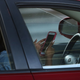 Image for article titled Drivers Just Can't Help Themselves